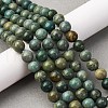 Natural Shoushan Jade Beads Strands G-L624-A01-10mm-1