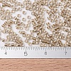 MIYUKI Delica Beads SEED-X0054-DB0907-4