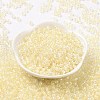 6/0 Glass Seed Beads SEED-T006-04F-05-2