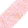Natural Rose Quartz Beads Strands G-M403-A06-02-1