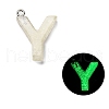 Luminous Resin Pendants RESI-I059-Y02-1