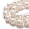 Natural Cultured Freshwater Pearl Beads Strands PEAR-L033-81-01-2