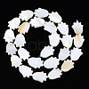 Natural Freshwater Shell Beads Strands SHEL-S278-04-A01-2