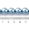 Shell Pearl Beads Strands BSHE-K015-12mm-02-2