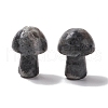 Natural Larvikite GuaSha Stone G-A205-26O-2