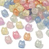Luminous Transparent Acrylic Beads OACR-B031-20-2