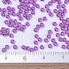 MIYUKI Round Rocailles Beads X-SEED-G007-RR1339-4