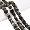 Natural Labradorite Beads Strands G-T141-09-2