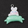 Opaque Resin Pendants RESI-D064-02P-08-2
