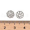 316 Stainless Steel Bead Caps STAS-C080-02B-P-3