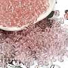 Transparent Colours Glass Seed Beads SEED-C001-02A-08-1
