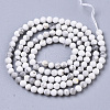 Natural Howlite Beads Strands G-R460-026-2