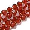 Natural Carnelian(Dyed & Heated) Beads Strands G-K387-A12-02-2