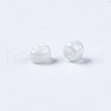 Glass Seed Beads SEED-S060-A-979-6