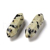 Mother's Day Gifts Natural Dalmatian Jasper Healing Stones G-K330-26-3