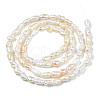 Natural Cultured Freshwater Pearl Beads Strands PEAR-N012-02F-2
