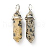 Natural Dalmatian Jasper Pendants G-M378-01P-A10-2