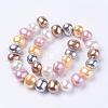 Shell Pearl Beads Strands BSHE-L035-E02-2