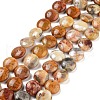 Flat Round Natural Crazy Lace Agate Beads Strands G-S110-12mm-05-2