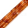 Dyed Natural Agate Beads Strands G-G203-01I-2
