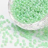 8/0 Glass Seed Beads SEED-US0003-3mm-144-1