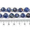 Natural Sodalite Beads Strands G-G182-B20-05-5