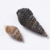 Natural Spiral Shell Beads SSHEL-S258-85-3