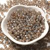 Baking Paint Glass Seed Beads SEED-A032-02A-13-2