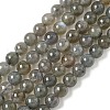 Natural Labradorite Beads Strands G-U017-6mm-01-2