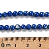 Assembled Synthetic Stone and Trochus Shell Beads Strands G-B128-08A-05-4