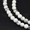 Natural Howlite Beads Strands G-F604-18-4mm-1