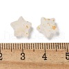 Frosted Acrylic Charms OACR-M023-04E-3