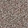 MIYUKI Delica Beads X-SEED-J020-DB0680-3