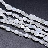 Natural White Rainbow Moonstones Nuggets Bead Strands G-O048-07-2