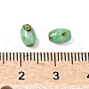 60Pcs 10G Baking Paint Glass Seed Beads GLAA-V001-06A-3