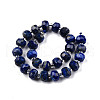 Natural Lapis Lazuli Beads Strands G-N327-08B-2