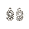 304 Stainless Steel Pendants STAS-L080-002P-09-1