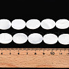 Natural Trochid Shell/Trochus Shell Beads SSHEL-N036-051-5