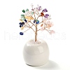 Natural Mixed Stone Chips Tree of Life Decorations DJEW-C016-02K-1