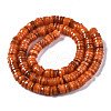 Natural Freshwater Shell Beads Strands X-SHEL-Q024-001G-2