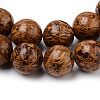 Natural Elephant Skin Jasper/Miriam Stone/Calligraphy Stone Beads Strands G-Q462-54-10mm-2