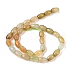 Natural Agate Beads Strands G-Q194-B01-01B-3