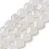Natural Quartz Crystal Beads Strands G-P544-E14-01-2