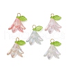 6Pcs Transparent Acrylic Pendants PALLOY-JF02300-01-1