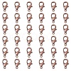 Zinc Alloy Lobster Claw Clasps FIND-FS0001-75R-1