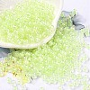 6/0 Glass Seed Beads SEED-T006-04F-02-1