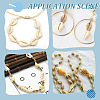 GOMAKERER 250~300Pcs Natural Cowrie Shell Pendants BSHE-GO0001-06-6