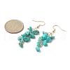 Synthetic Turquoise Chips Dangle Earrings EJEW-JE05266-02-2