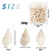 SUNNYCLUE Natural Trumpet Shell Beads BSHE-SC0001-03-2