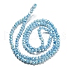Opaque Baking Painted Glass Beads Strands DGLA-F002-01E-3